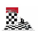 Игра настольная Рыжий Кот Шахматы и шашки классические в пакете