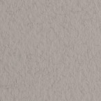 Бумага для пастели Fabriano Tiziano 50x65см серый теплый, 160г/м2.  [10]