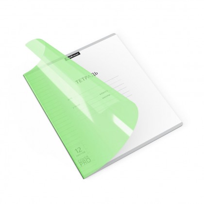 Тетрадь А5 12л. линия Erich Krause Классика Cover Prо Neon.Зеленая пластиковая обложка